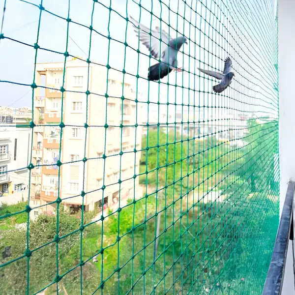 Bird Protection Nets